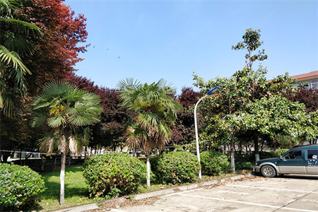 基泰福源小区3室2厅1卫正房117平米车库26平米